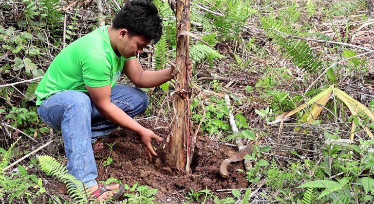 Cambuac Congregation promotes nature conservation via tree-planting