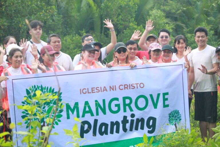 Capiz District plants a thousand mangrove seedlings