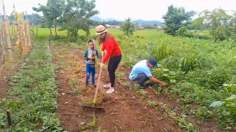 Gulayan sa Bakuran project flourishes in Mambusao, Capiz